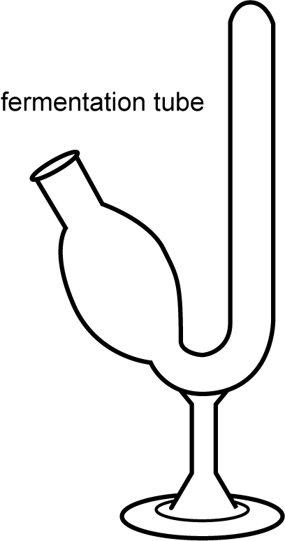 a diagram of a fermentation tube